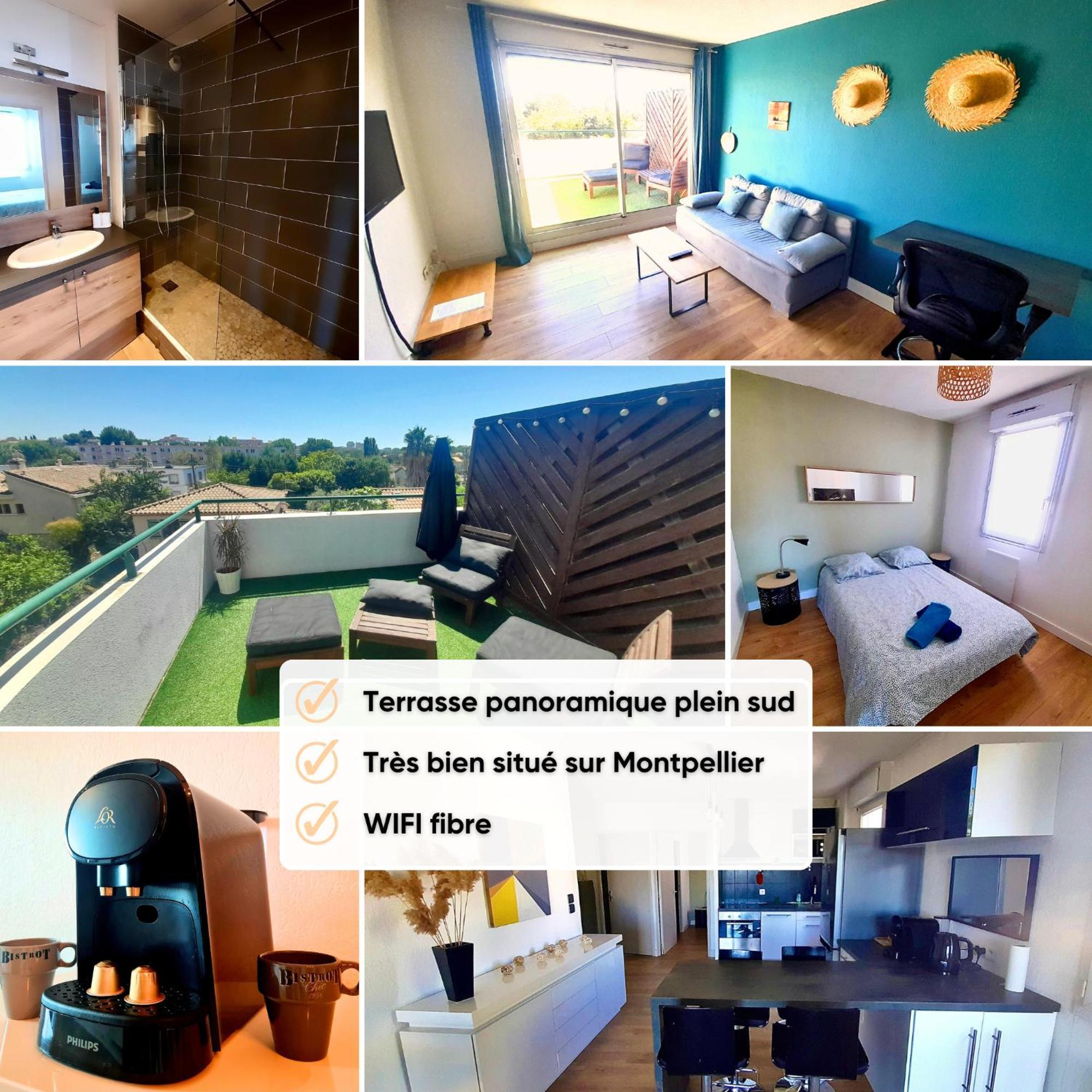 Appartamento Terrasse De La Pompignane - T2 Lumineux Plein Sud Montpellier Esterno foto