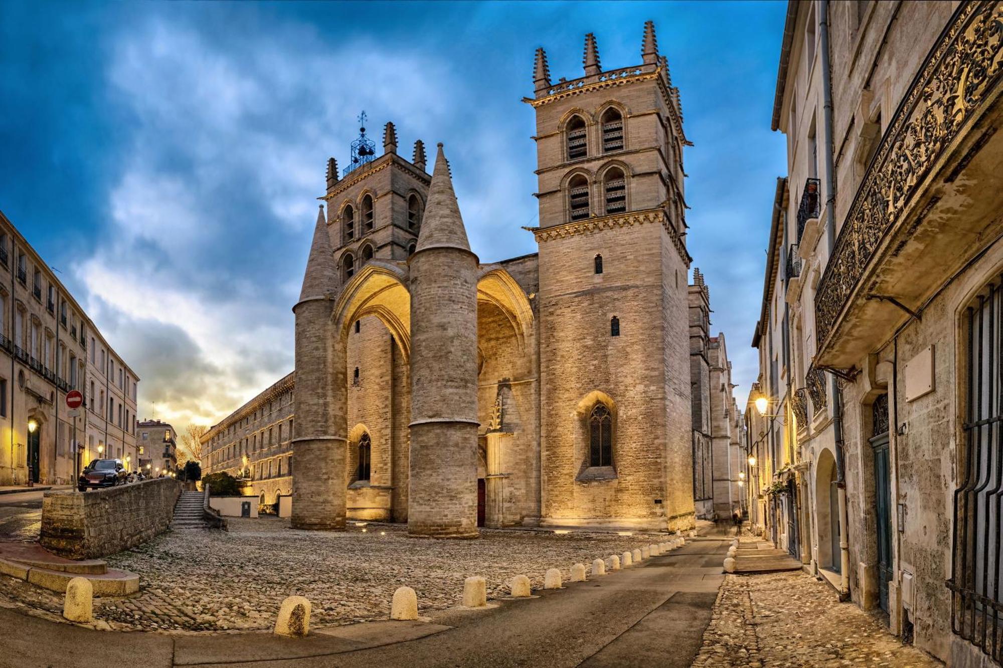 Appartamento Terrasse De La Pompignane - T2 Lumineux Plein Sud Montpellier Esterno foto